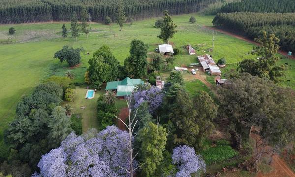 Farm For Sale in Greytown, Greytown